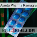 Ajanta Pharma Kamagra viagra1